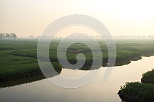 XINGHUA, CHINA: Canal in rapeseed field at morning