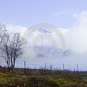 Xinjiang, china: autumn landscape