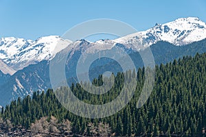 Snow Mountain in Heavenly Lake of Tianshan (Tianchi) in Fukang, Changji, Xinjiang, China. It is part of UNESCO World