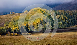 Xinjiang Hemu village scenery