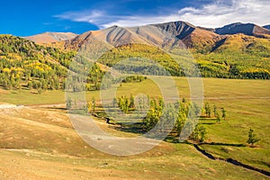 Xinjiang Kanas Grassland Autumn