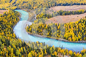 Xinjiang kanas river landscape in autumn