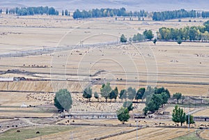 Xinjiang Ranch