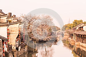 Xitang Ancient Watertown scenery in the morning photo