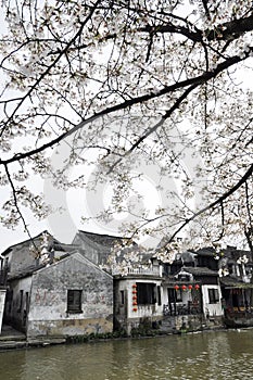 Xitang, a water town of China.