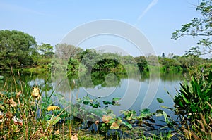 Xixi Wetland Hangzhou China