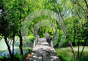 Xixi wetland in huangzhou, zhejiang, china