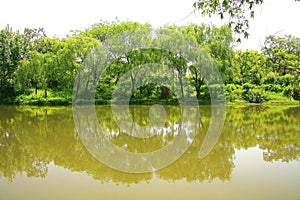 Xixi wetland in huangzhou, zhejiang, china