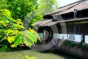 Xixi wetland in huangzhou, zhejiang, china