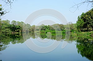 Xixi Wetland Park Hangzhou