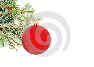 Xmas christmas background firs branch  copy space isolated space fore your text photo