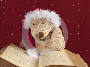 Xmas teddy bear reading an old book