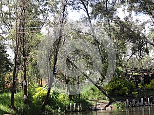 Xochimilco - Venise Mexicana - Mexico