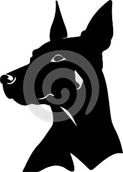 Xoloitzcuintli Mexican Hairless Dog Black Silhouette Generative Ai