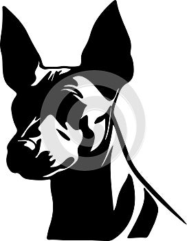 Xoloitzcuintli Mexican Hairless Dog Black Silhouette Generative Ai
