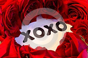 XOXO symbol of hugs and kisses encircled with red roses.