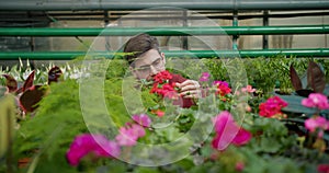 xploring the Beauty of Nature: A Young Man's Passion for Flowers. A young guy examines a large number of flowers and