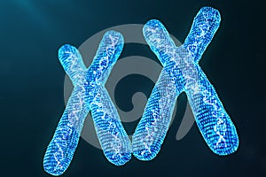 XX digital, artificial chromosomes with DNA carrying the genetic code. Genetics concept, artificial intelligence concept