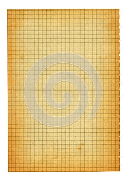 XXL size piece of old squared paper