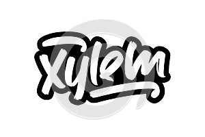 Xylem hand drawn modern brush lettering for business and advertising