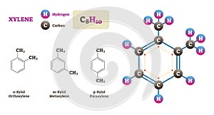 Xylene molecule vector illustration. Hydrogen and Carbon structure diagram.