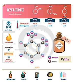 Xylene vector illustration. Labeled synthetic substance structure and uses.