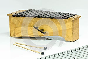 The xylophone and two mallets