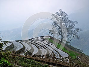 Y ty, Sapa, Lao cai, Vietnam