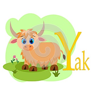 Y word for yak animal alphabet illustration