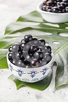 Yabuticaba or jabuticaba is a tree native to Brazil, Argentina, Bolivia and Paraguay