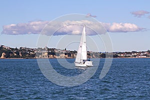 Yacht in Auckland in New Zealand