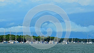 Yacht boats mooing at the entrance to Trinity Inlet Cairns Australia