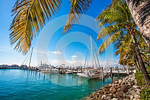 Yacht harbor in Miami Florida