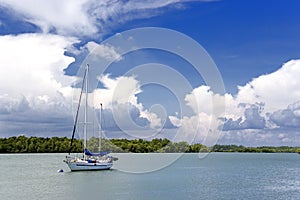 Yacht and Mangrove Swamp