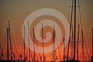 Yacht masts and rigging in silhouette at sunset