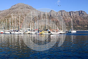 Yacht moored in dark blue sea with mountain and blue sky background in Hout Bay Harbor, Cape Town