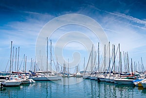 Yacht port in Cannes photo