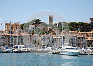 Yacht port Cannes photo