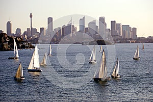 Yacht Regatta