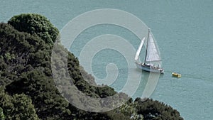 Yacht sails along New Zealand