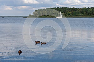 Yacht in a seascape in summer