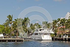 Yacht in water and palm trees