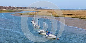 Yachts at anchor on the Solent photo
