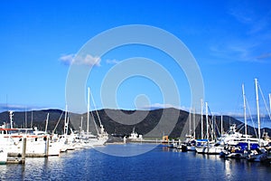 Yachts in the bay on blue-sky background