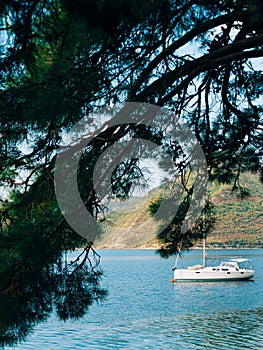 Yachts, boats, ships in the Bay of Kotor