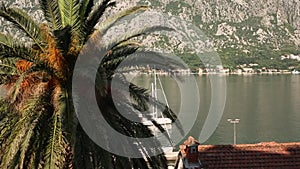 Yachts, boats, ships in the bay of Kotor, Adriatic Sea, Montenegro