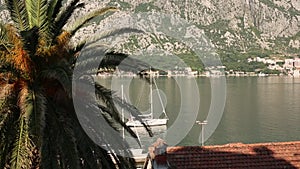 Yachts, boats, ships in the bay of Kotor, Adriatic Sea, Montenegro