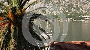 Yachts, boats, ships in the Bay of Kotor, Adriatic Sea, Montenegro