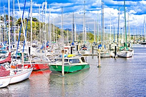 Yachts and boats in town basin of Whangarei, New Zealand