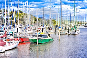 Yachts and boats in town basin of Whangarei, New Zealand photo